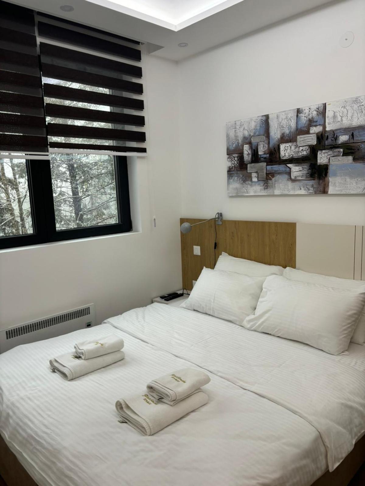 Aparthotel Zlatiborske Terase Spa&wellness 4*